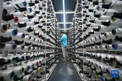中國經濟十問之七 電子商務的現(xiàn)狀、挑戰(zhàn)與未來發(fā)展路徑